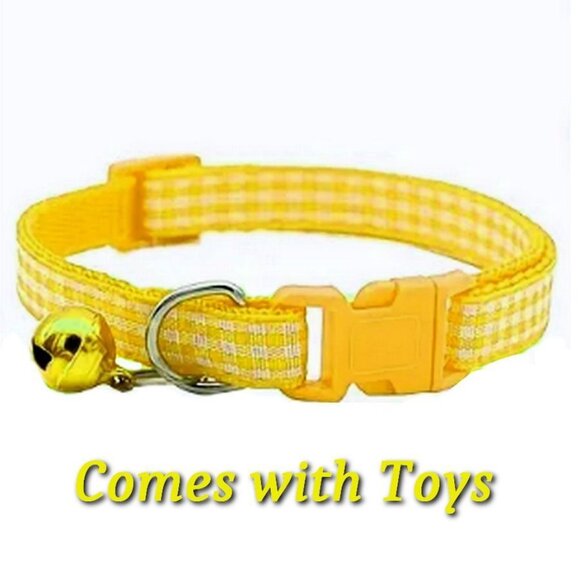 Jamie Jase Yellow Gingham Plaid Bell Accented Cat Collar with Toys Gift Package - Picture 9 of 9